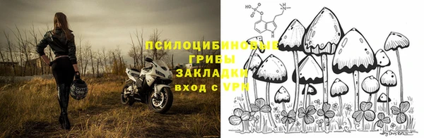 кокс Осташков
